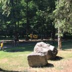 Camp Mariánky 2019